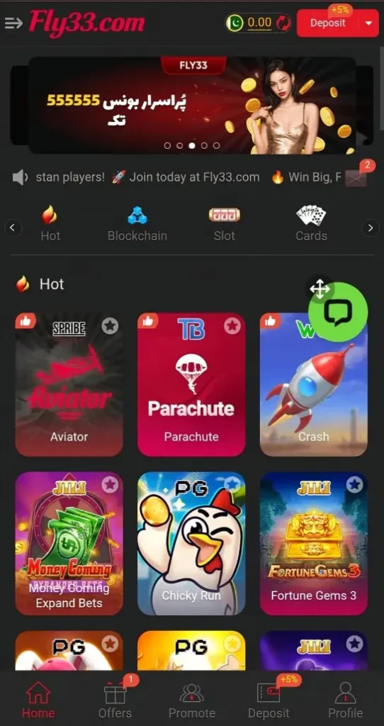 Fly33 Game