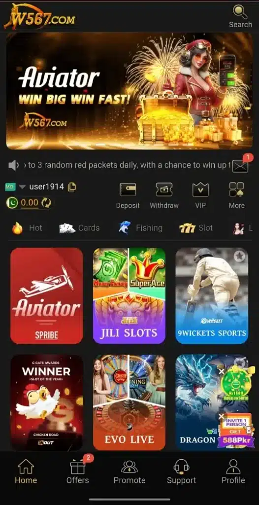 W567 Game