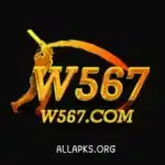 W567 Game