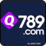 Q789 Game