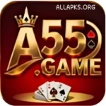 A55 Game
